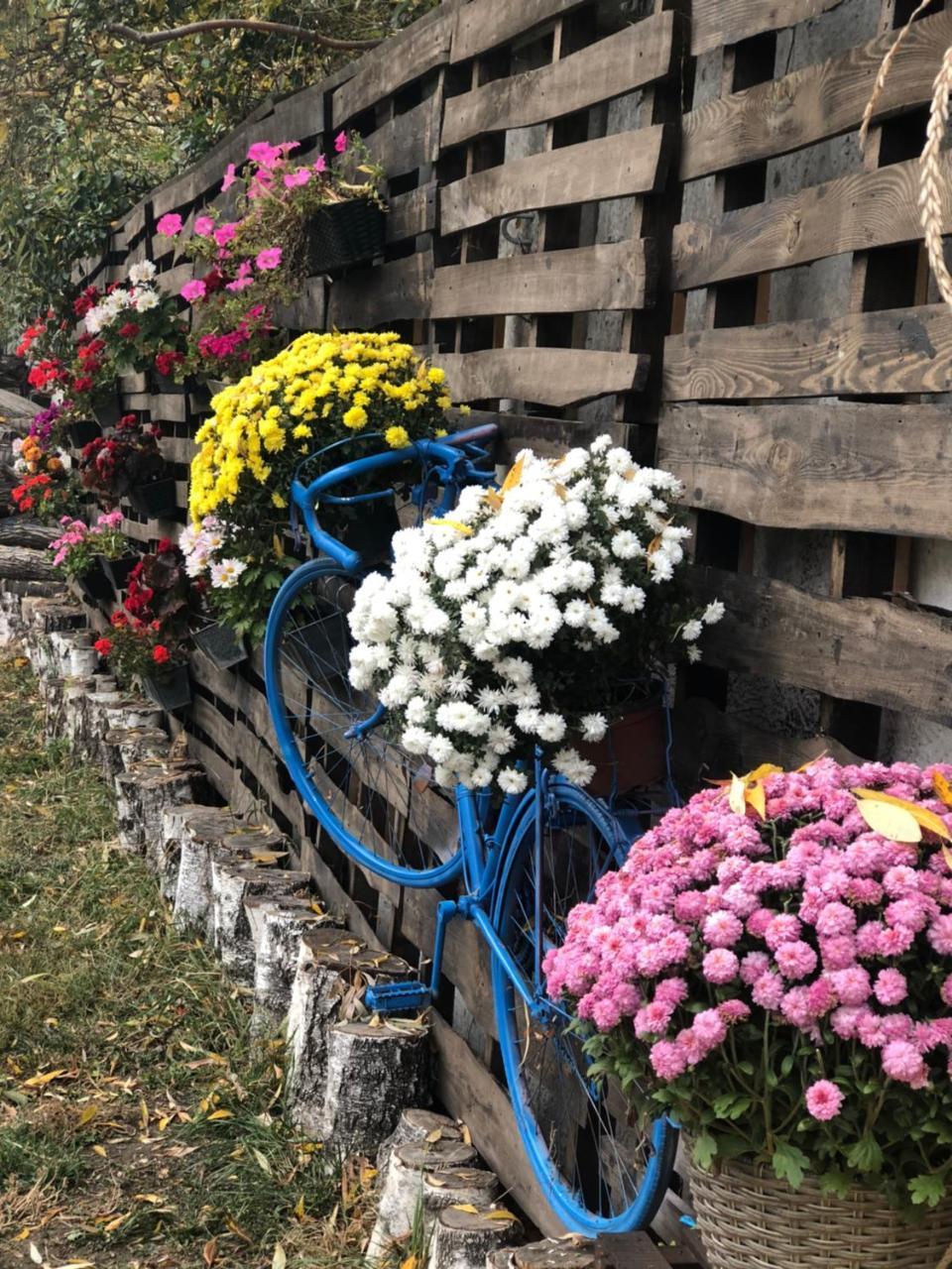 Tamerlan Khmel'nyts'kyy Exterior foto